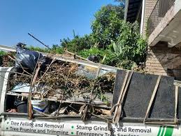 Best Basement Cleanout  in Rocky Top, TN