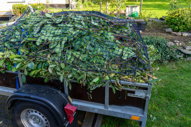 Best Scrap Metal Removal  in Rocky Top, TN